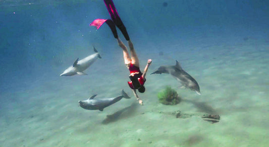 A Mermaid's Dream Come True